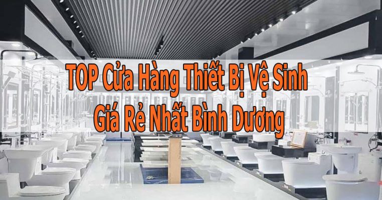 Cửa Hàng Thiết Bị Vệ Sinh Bình Dương Uy Tín, Giá Tốt